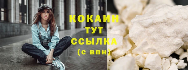 винт Инсар