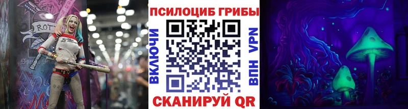 Купить закладки  Лебедянь  Галлюциногенные грибы мухоморы 